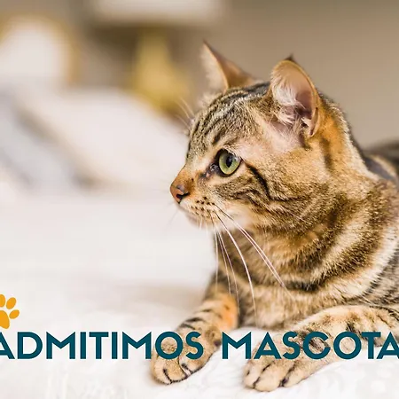 La Maruca Loft Deluxe 3000