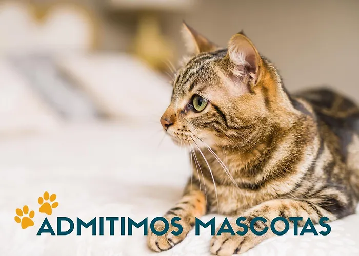 La Maruca Loft Deluxe 3000